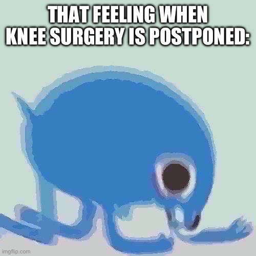 … | THAT FEELING WHEN KNEE SURGERY IS POSTPONED: | made w/ Imgflip meme maker