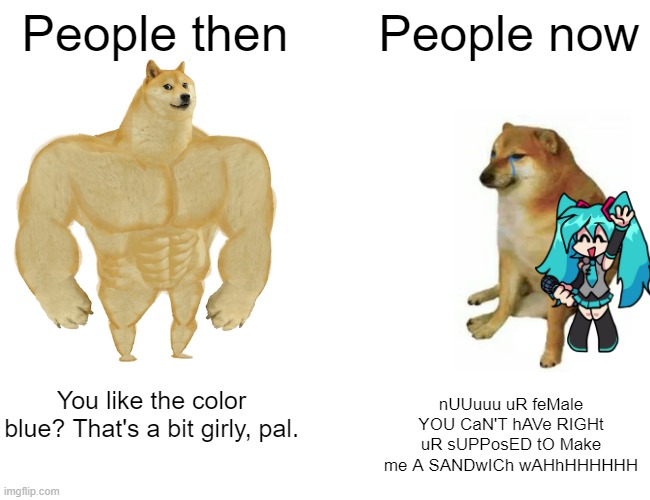 2000 years of constant human evolution | People then; People now; You like the color blue? That's a bit girly, pal. nUUuuu uR feMale YOU CaN'T hAVe RIGHt uR sUPPosED tO Make me A SANDwICh wAHhHHHHHH | image tagged in memes,buff doge vs cheems | made w/ Imgflip meme maker