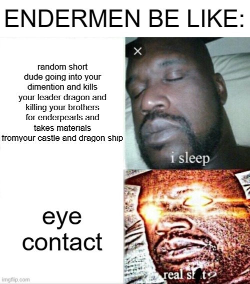 bruh | ENDERMEN BE LIKE:; random short dude going into your dimention and kills your leader dragon and killing your brothers for enderpearls and takes materials fromyour castle and dragon ship; eye contact | image tagged in memes,sleeping shaq,minecraft,enderman | made w/ Imgflip meme maker