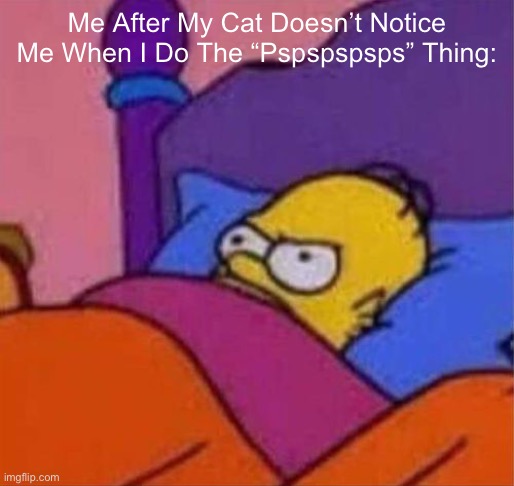 angry homer simpson in bed | Me After My Cat Doesn’t Notice Me When I Do The “Pspspspsps” Thing: | image tagged in angry homer simpson in bed | made w/ Imgflip meme maker
