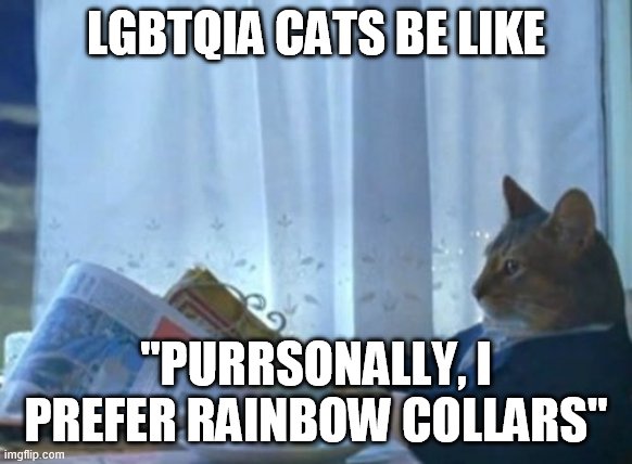 I Should Buy A Boat Cat | LGBTQIA CATS BE LIKE; "PURRSONALLY, I PREFER RAINBOW COLLARS" | image tagged in memes,i should buy a boat cat | made w/ Imgflip meme maker