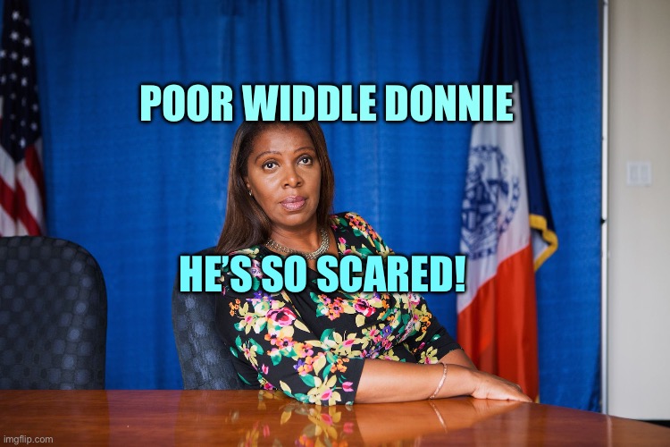 Letitia james, | POOR WIDDLE DONNIE; HE’S SO SCARED! | image tagged in letitia james,donald trump,trump,donald trump the clown | made w/ Imgflip meme maker