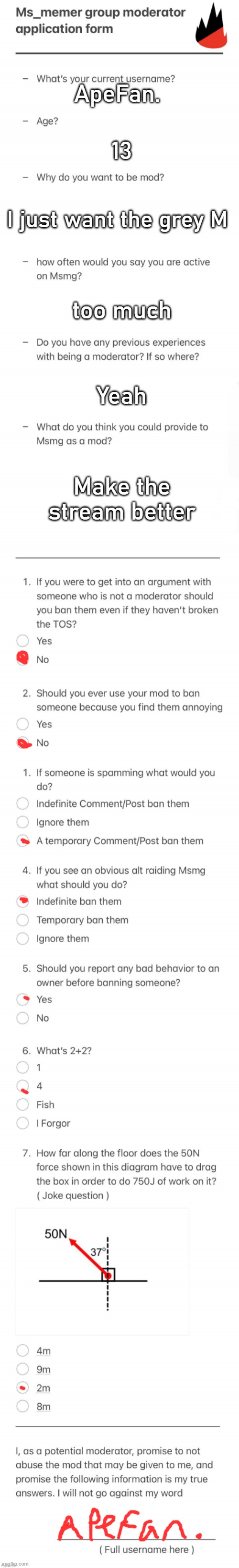 UPDATED MSMG MOD FORM | ApeFan. 13; I just want the grey M; too much; Yeah; Make the stream better | image tagged in updated msmg mod form | made w/ Imgflip meme maker