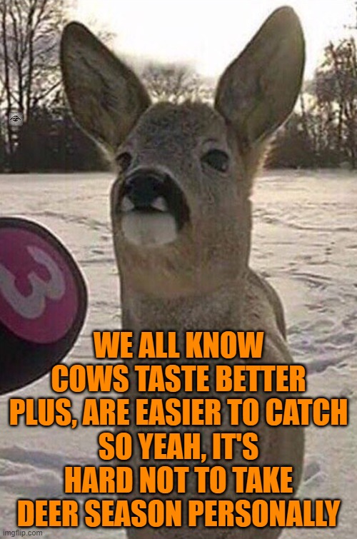 Deer Interview | WE ALL KNOW COWS TASTE BETTER
PLUS, ARE EASIER TO CATCH
SO YEAH, IT'S HARD NOT TO TAKE DEER SEASON PERSONALLY | image tagged in deer interview,cows,hunting,deer season | made w/ Imgflip meme maker