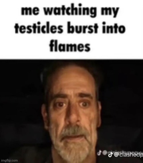 (mod note: i lit them) | image tagged in me watching my testicles burst into flames | made w/ Imgflip meme maker