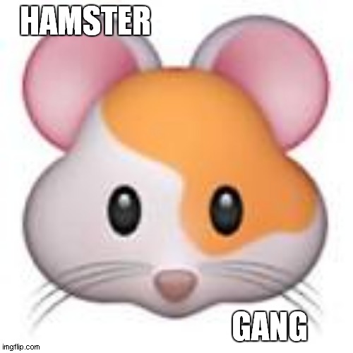 hamster gang | HAMSTER; GANG | image tagged in hamster emoji | made w/ Imgflip meme maker