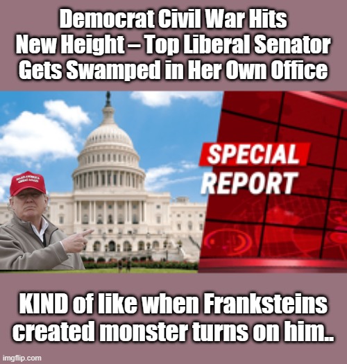 CREATE a Monster ,you eventualy have to deal with that monster. | Democrat Civil War Hits New Height – Top Liberal Senator Gets Swamped in Her Own Office; KIND of like when Franksteins created monster turns on him.. | image tagged in democrats,psychopaths and serial killers | made w/ Imgflip meme maker