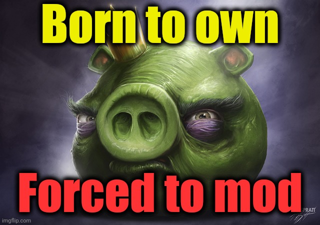 Angry Birds Realistic King Pig | Born to own Forced to mod | image tagged in angry birds realistic king pig | made w/ Imgflip meme maker