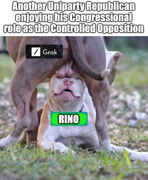 The Republican Controlled Opposition | Another Uniparty Republican enjoying his Congressional role as the Controlled Opposition; RINO | image tagged in memes,politics,rino,gop | made w/ Imgflip meme maker