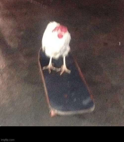 Chicken #3 | image tagged in cursed image,cursed,fun | made w/ Imgflip meme maker