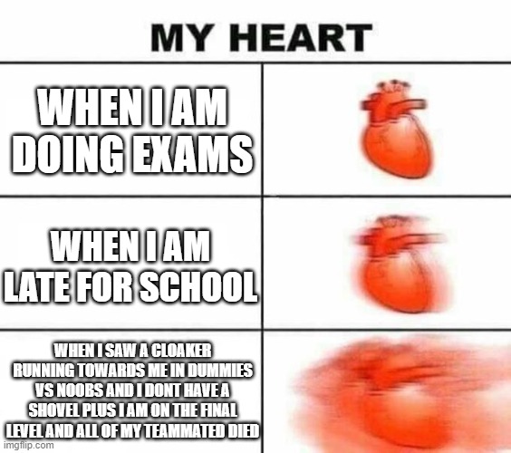my heart when i saw a cloaker | WHEN I AM DOING EXAMS; WHEN I AM LATE FOR SCHOOL; WHEN I SAW A CLOAKER RUNNING TOWARDS ME IN DUMMIES VS NOOBS AND I DONT HAVE A SHOVEL PLUS I AM ON THE FINAL LEVEL AND ALL OF MY TEAMMATED DIED | image tagged in my heart blank | made w/ Imgflip meme maker