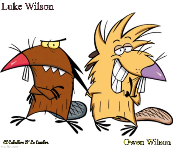 Luke Wilson/ Owen Wilson | Luke Wilson; Owen Wilson; El Caballero D’ La Cumbre | image tagged in funny memes | made w/ Imgflip meme maker