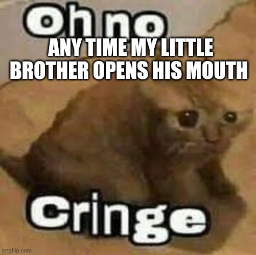 The youngest sibling sucks | ANY TIME MY LITTLE BROTHER OPENS HIS MOUTH | image tagged in oh no cringe,funny,memes,lol | made w/ Imgflip meme maker