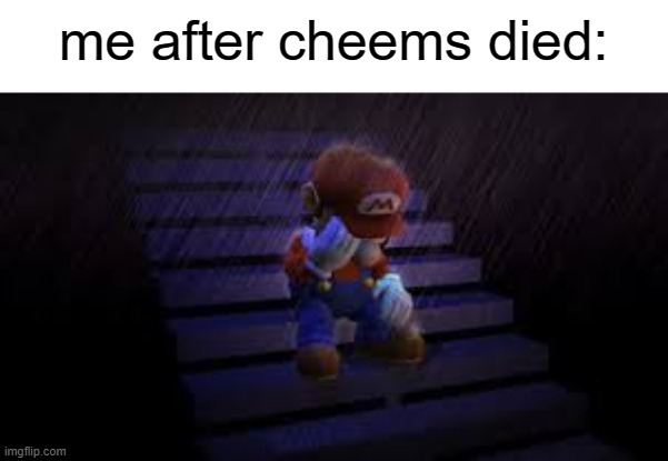 i feel depressed when a meme person dies | me after cheems died: | image tagged in sad mario,cheems | made w/ Imgflip meme maker