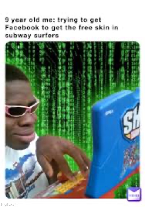 To be fair, it was a pretty funny skin. | image tagged in subway surfers,hackerman,memes | made w/ Imgflip meme maker