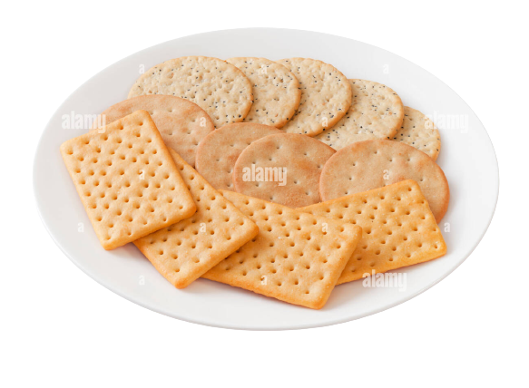High Quality A Plate of Crackers Blank Meme Template