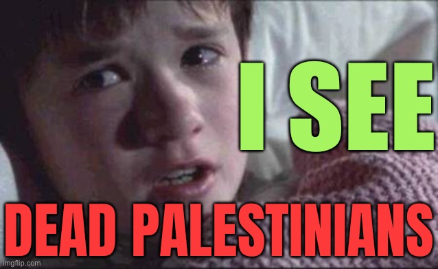 I See Dead Palestinians | I SEE; DEAD PALESTINIANS | image tagged in memes,i see dead people,palestine,islam,christianity,muslims | made w/ Imgflip meme maker