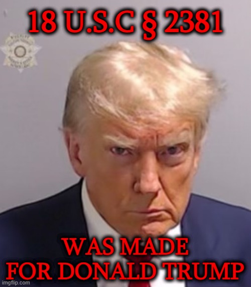 18 U.S.C § 2381 Was made for Donald J. Trump. | 18 U.S.C § 2381; WAS MADE FOR DONALD TRUMP | image tagged in donald trump mugshot,donald trump,treason,american traitor,traitor,hateful people | made w/ Imgflip meme maker