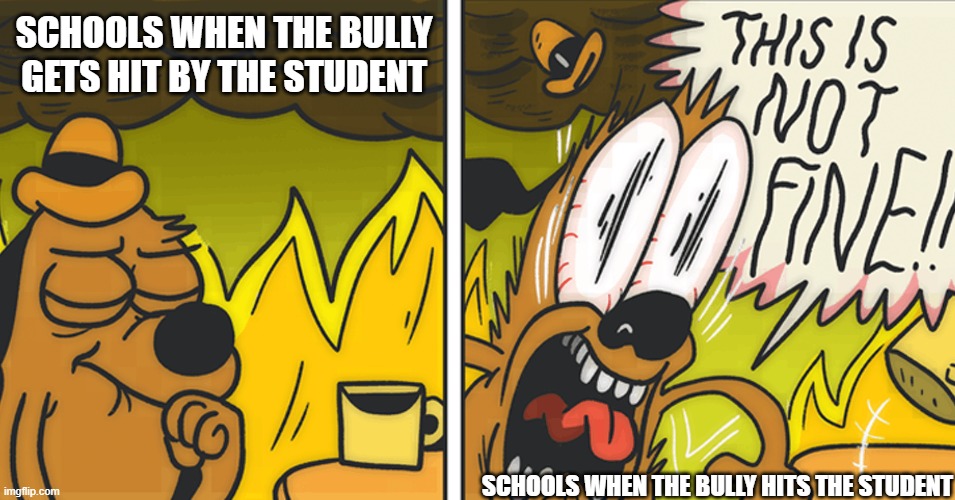 This is not fine | SCHOOLS WHEN THE BULLY GETS HIT BY THE STUDENT SCHOOLS WHEN THE BULLY HITS THE STUDENT | image tagged in this is not fine | made w/ Imgflip meme maker