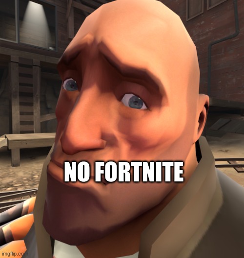 no anime? | NO FORTNITE | image tagged in no anime | made w/ Imgflip meme maker