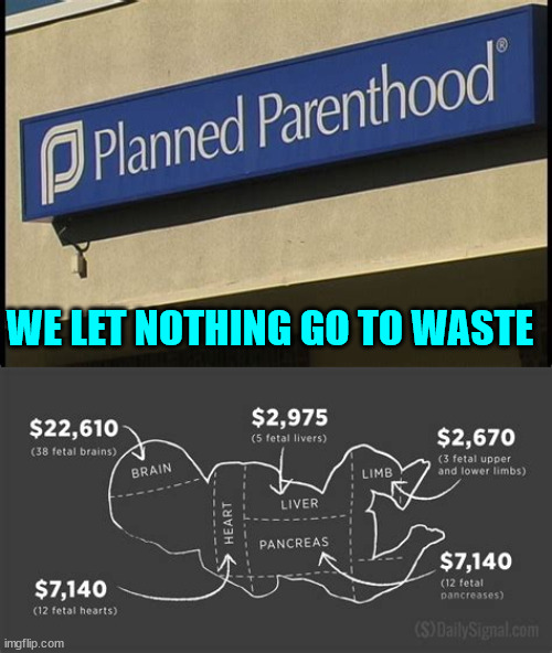 Abortion is big business... Sickos making money off of killing babies... | WE LET NOTHING GO TO WASTE | image tagged in abortion is murder | made w/ Imgflip meme maker