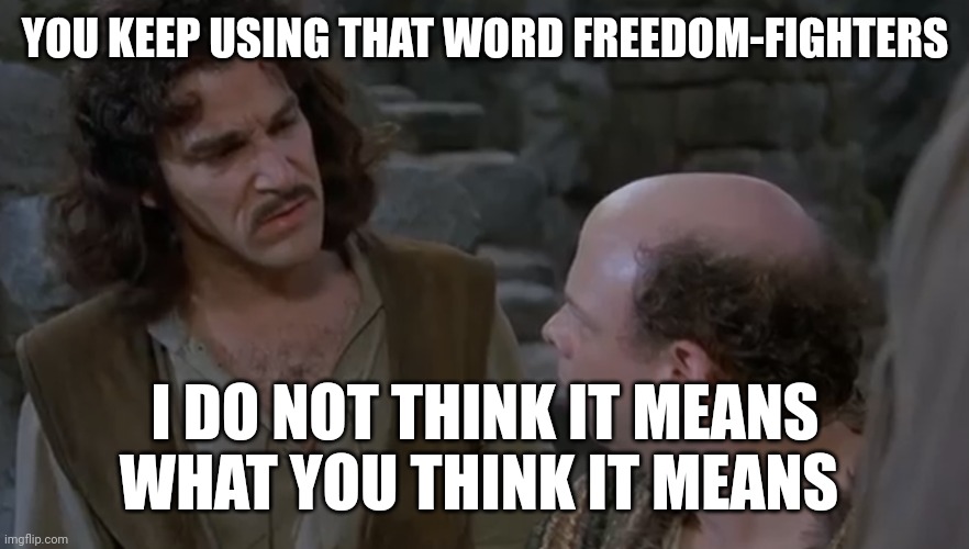 Princess bride freedom fighters | YOU KEEP USING THAT WORD FREEDOM-FIGHTERS; I DO NOT THINK IT MEANS WHAT YOU THINK IT MEANS | image tagged in you keep using that word | made w/ Imgflip meme maker