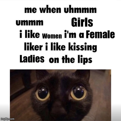 Straight version of boykisser meme | Girls; Female; Women; Ladies | image tagged in me when uhmm umm | made w/ Imgflip meme maker