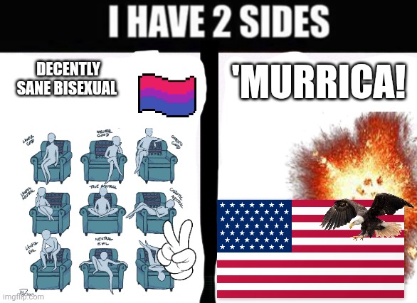 i have 2 sides | 'MURRICA! DECENTLY SANE BISEXUAL | image tagged in i have 2 sides | made w/ Imgflip meme maker