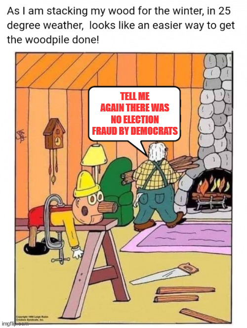 Cold winter? No Problem... | TELL ME AGAIN THERE WAS NO ELECTION FRAUD BY DEMOCRATS | image tagged in democrats,election fraud,pinnochio | made w/ Imgflip meme maker