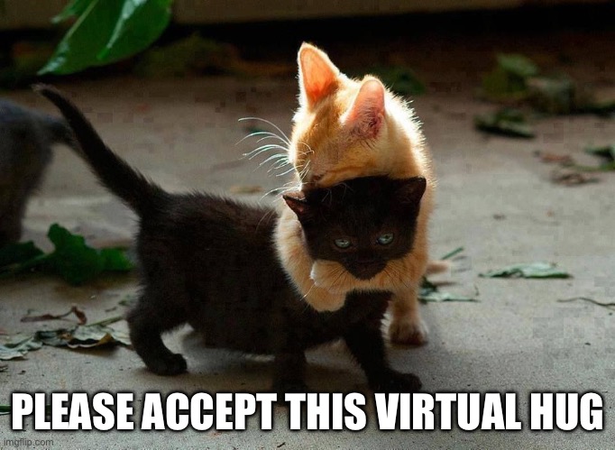 kitten hug | PLEASE ACCEPT THIS VIRTUAL HUG | image tagged in kitten hug | made w/ Imgflip meme maker
