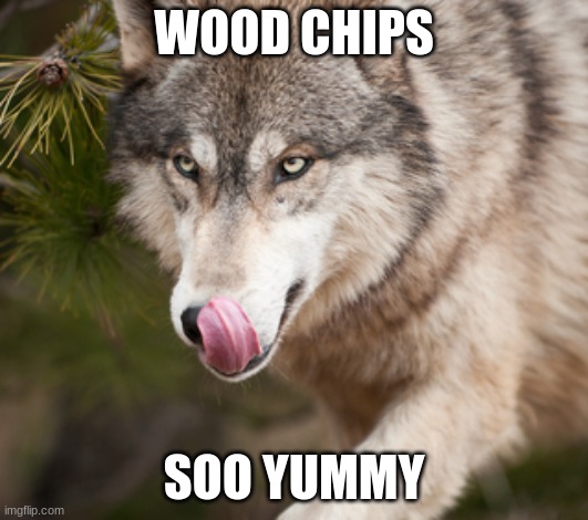 yummy | WOOD CHIPS; SOO YUMMY | image tagged in yummy | made w/ Imgflip meme maker