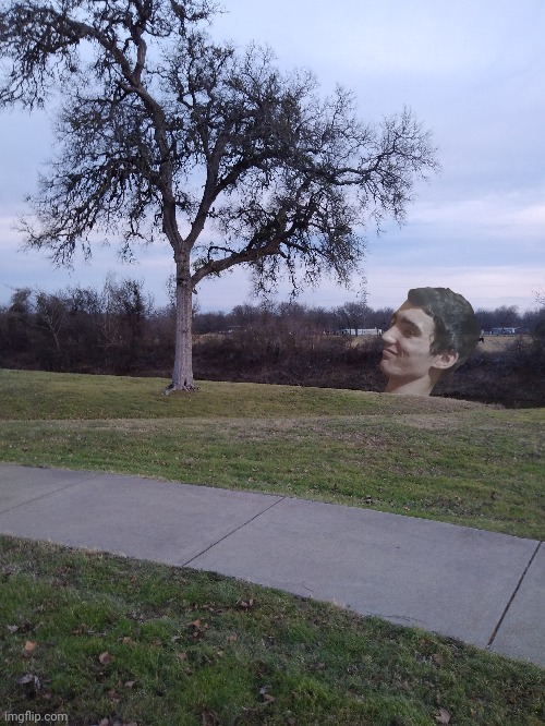aw man he woke up | made w/ Imgflip meme maker
