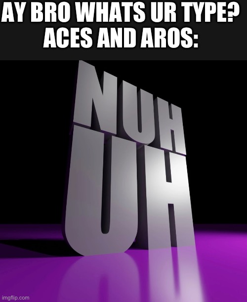 NUH UH | AY BRO WHATS UR TYPE?
ACES AND AROS: | image tagged in nuh uh 3d | made w/ Imgflip meme maker