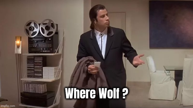 Confused man | Where Wolf ? | image tagged in confused man | made w/ Imgflip meme maker