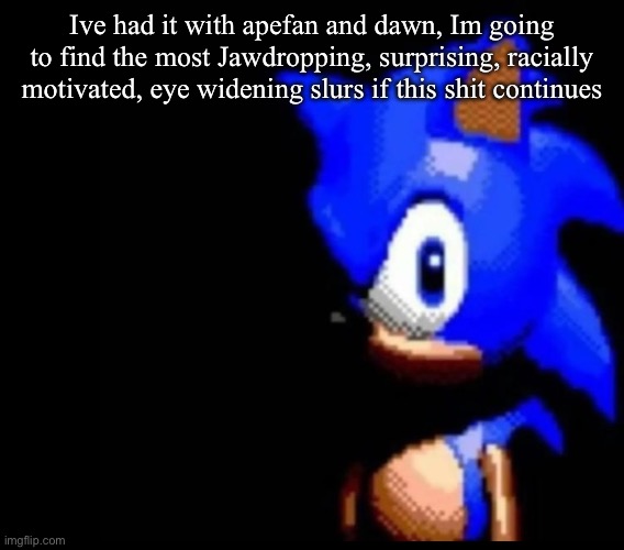 Sonic stares | Ive had it with apefan and dawn, Im going to find the most Jawdropping, surprising, racially motivated, eye widening slurs if this shit continues | image tagged in sonic stares | made w/ Imgflip meme maker