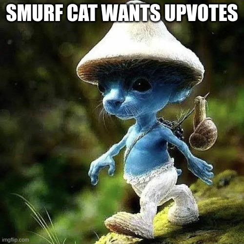 We Live We Love We Lie | SMURF CAT WANTS UPVOTES | image tagged in we live we love we lie | made w/ Imgflip meme maker