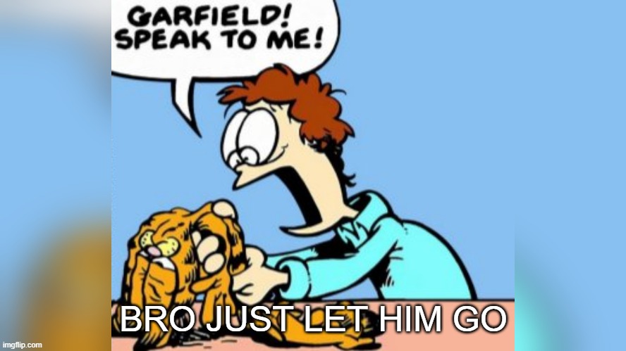 dawat | BRO JUST LET HIM GO | image tagged in garfield | made w/ Imgflip meme maker
