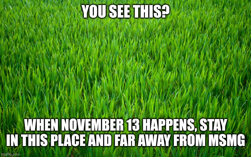 Grass | YOU SEE THIS? WHEN NOVEMBER 13 HAPPENS, STAY IN THIS PLACE AND FAR AWAY FROM MSMG | image tagged in grass,november 13,emergency | made w/ Imgflip meme maker