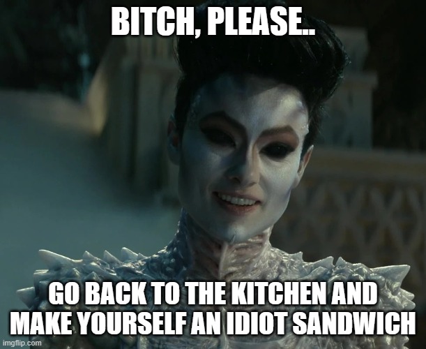 Gozer Says | BITCH, PLEASE.. GO BACK TO THE KITCHEN AND MAKE YOURSELF AN IDIOT SANDWICH | image tagged in gozer says | made w/ Imgflip meme maker