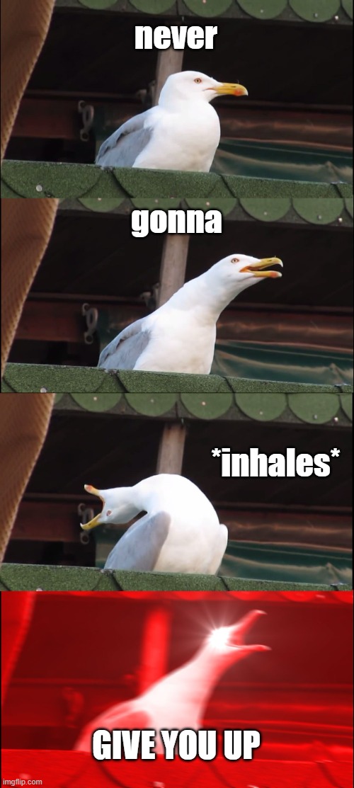 Inhaling Seagull | never; gonna; *inhales*; GIVE YOU UP | image tagged in memes,inhaling seagull | made w/ Imgflip meme maker