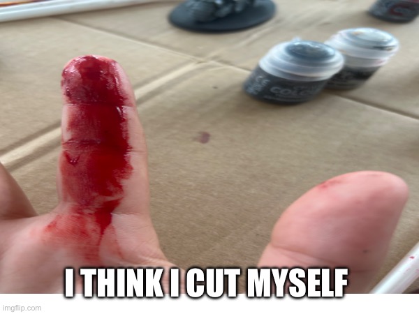 I THINK I CUT MYSELF | image tagged in pain | made w/ Imgflip meme maker