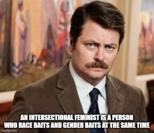 Intersectional Feminist Definition | AN INTERSECTIONAL FEMINIST IS A PERSON WHO RACE BAITS AND GENDER BAITS AT THE SAME TIME | image tagged in memes,ron swanson,feminism | made w/ Imgflip meme maker