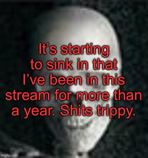 . | It’s starting to sink in that I’ve been in this stream for more than a year. Shits trippy. | image tagged in skull | made w/ Imgflip meme maker