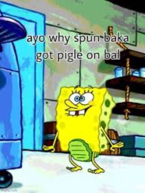 Ayo why spun baka got pigle on bal | image tagged in ayo why spun baka got pigle on bal | made w/ Imgflip meme maker