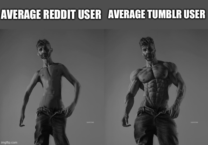 Average Reddit user vs Average Tumblr user | AVERAGE REDDIT USER; AVERAGE TUMBLR USER | image tagged in weak gigachad vs strong gigachad comparison,reddit,scumbag redditor,tumblr,funny because it's true,so true | made w/ Imgflip meme maker