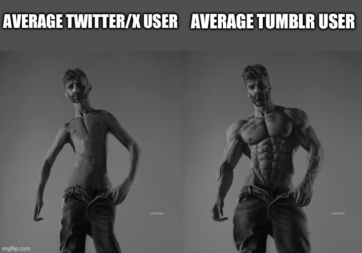 Average Twitter user vs Average Tumblr user | AVERAGE TWITTER/X USER; AVERAGE TUMBLR USER | image tagged in weak gigachad vs strong gigachad comparison,twitter,elon musk buying twitter,tumblr,funny because it's true,gigachad | made w/ Imgflip meme maker