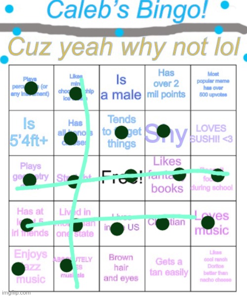 Its basically impossible for me to get tan lol | image tagged in caleb s bingo,dragonz | made w/ Imgflip meme maker