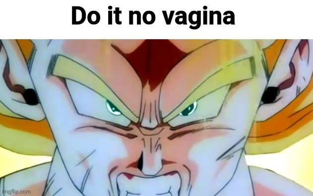 Do it no vagina | made w/ Imgflip meme maker