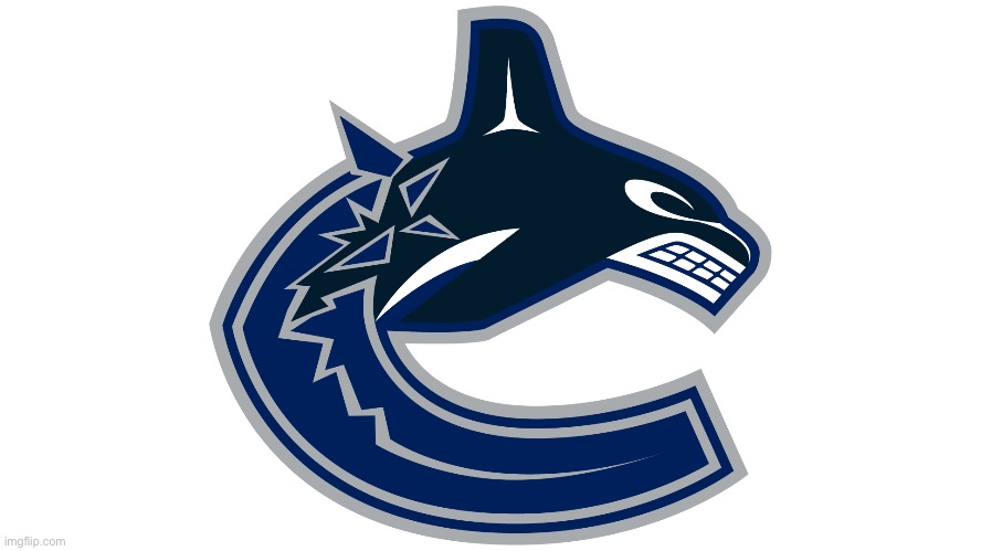 My hockey team | image tagged in vancouver canucks | made w/ Imgflip meme maker