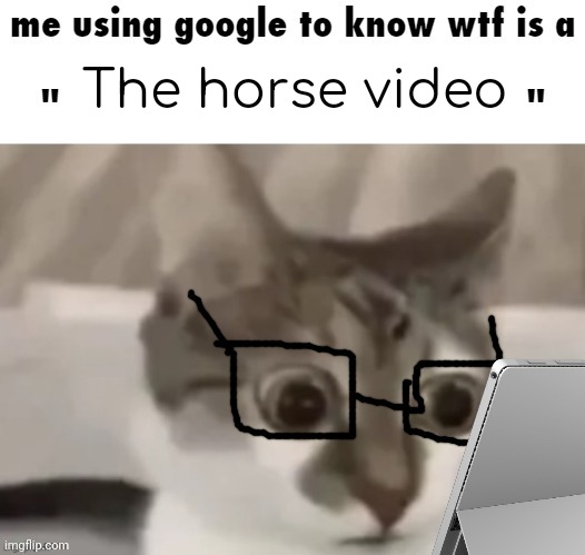 me using google to know wtf is a X | The horse video | image tagged in me using google to know wtf is a x | made w/ Imgflip meme maker